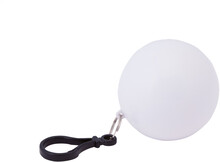 P��v�ek pl�t�nka Aegis, b�l�