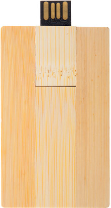 USB flash disk Bambusb, prodn