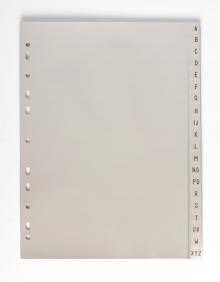 Roz�a�ova� Karton PP A4, 1 -31, 20 list�