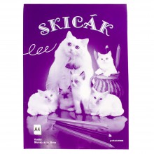 SKIC�K A3/180g/10l