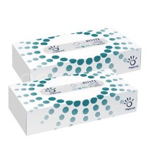 HYGIENICK� KAPESN��KY PAPERNET/LINTEO 2vr. 100 ks