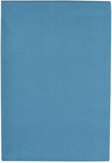 �ist�c� ut�rka Saf�r, na sklo, mikrovl�kno 290 g, 40 x 40 cm