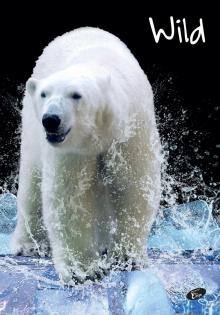 SE�IT POZN�MKOV� Divok� p��roda, A5, 40 list�, linka, mix 6 motiv�