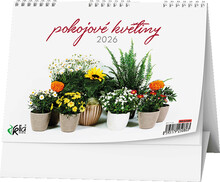 Kalend stoln Pokojov kvtiny