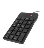 KL�VESNICE NUMERICK� C-TECH